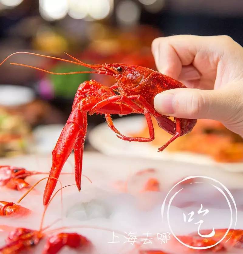 这家店营业到清晨2点，卖的都可以选Size，还给手活儿好的打折……