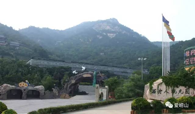 相约春天普洱生茶,青岛石老人景区观光园