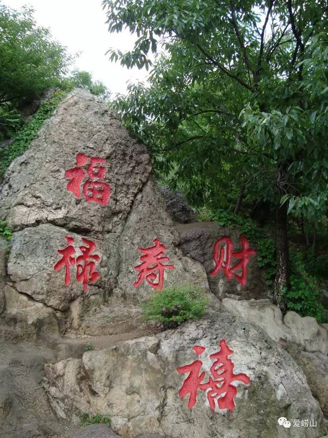 相约春天普洱生茶,青岛石老人景区观光园