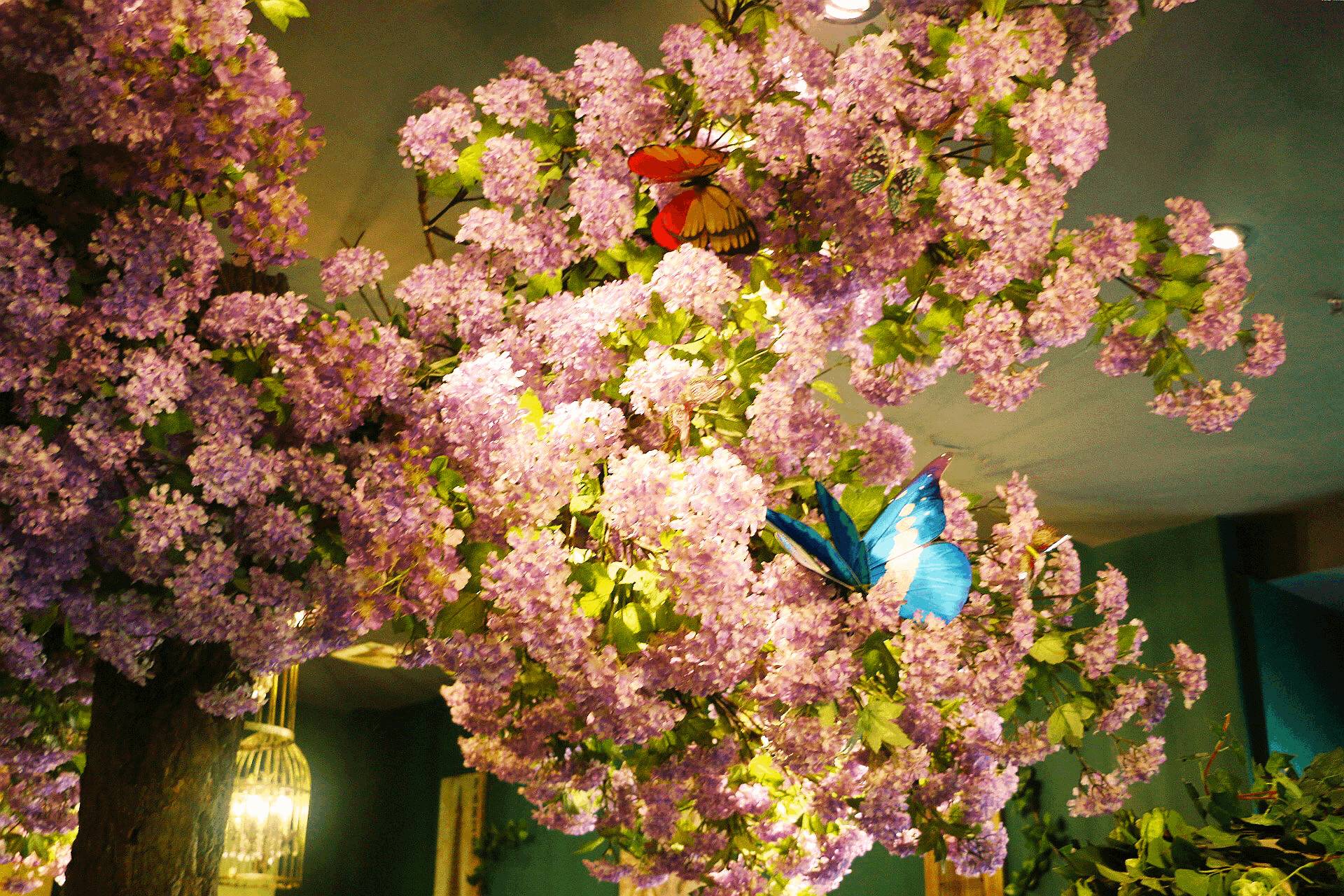 一不谨慎美成自拍圣地！说这是吃火锅的谁信？