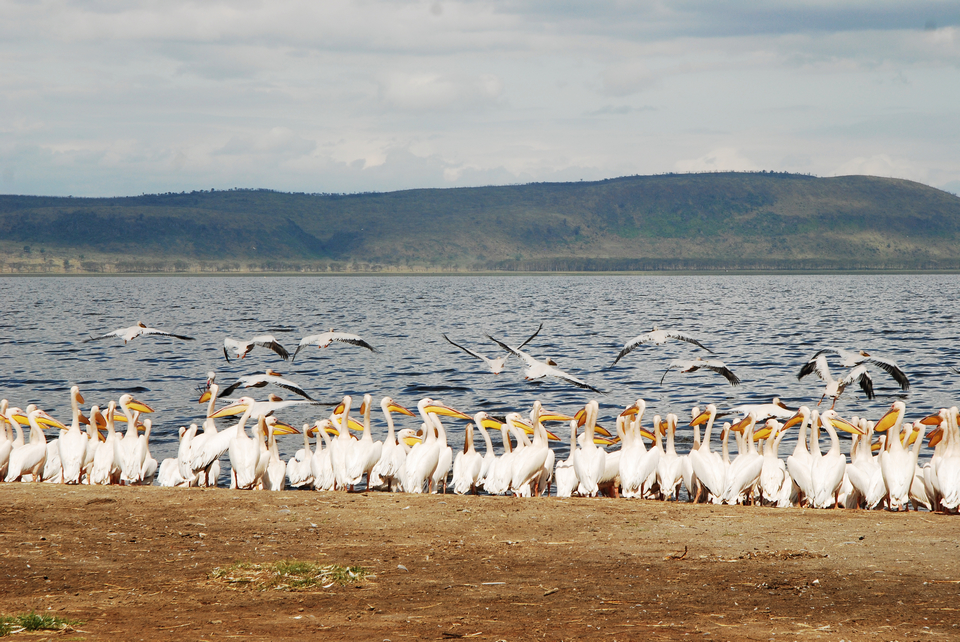 这一生一定要有的8个旅行体验,一生必须有的50个旅行体验