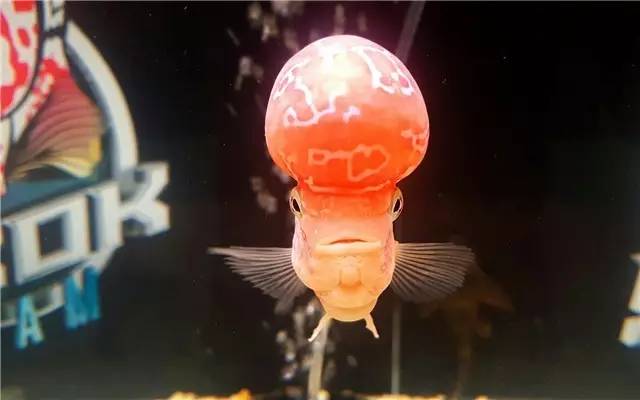 不能再惯着女生了,不能再惯着臭脾气