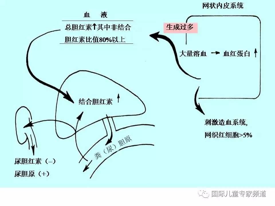 「PPT干货」国际儿童专家频道学术讲座.NO7——浙江大学医学院附属儿童医院消化科，陈洁主任主讲《婴儿胆汁淤积性肝病的诊治》