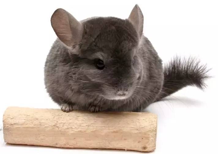 想要属于自己的东西为什么,想要属于自己的东西