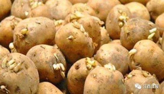 吃螃蟹谨慎食物中毒,吃螃蟹全身红肿