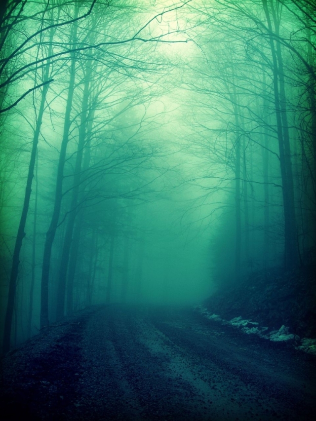 50八卦丨西雅图：甜美浪漫不夜城