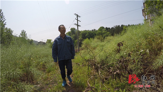 电力人精神状态,电力人