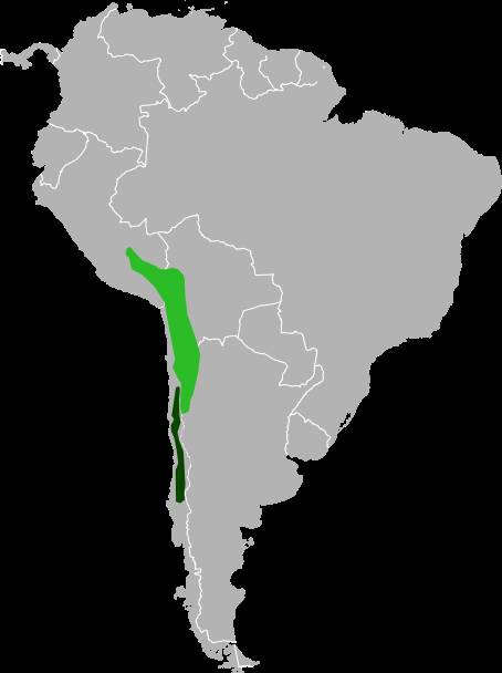 想要属于自己的东西为什么,想要属于自己的东西