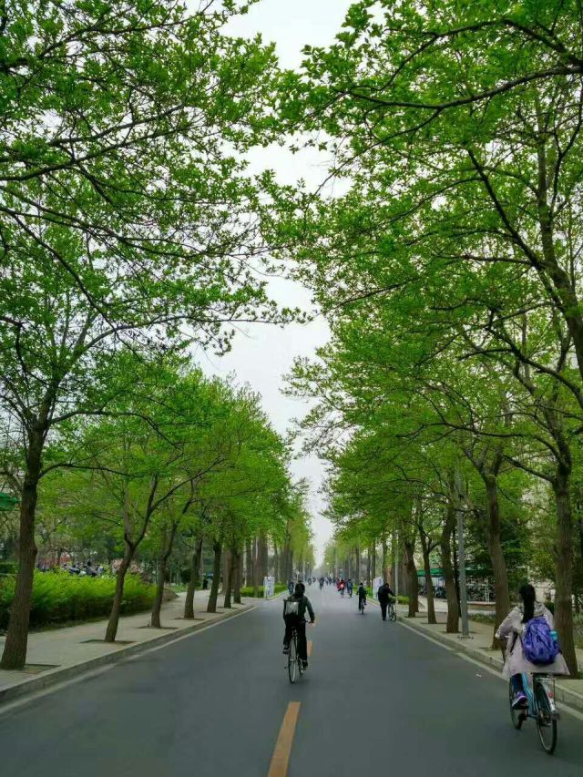 四月是你的生日伴奏,四月是你的生日手语舞完整版