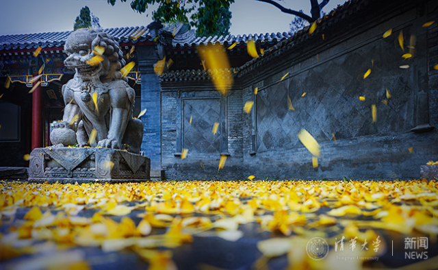 四月是你的生日伴奏,四月是你的生日手语舞完整版