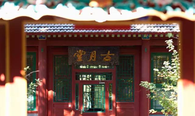 四月是你的生日伴奏,四月是你的生日手语舞完整版