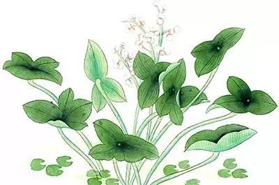 桂子山的夏天，愿你的脚步慢一些