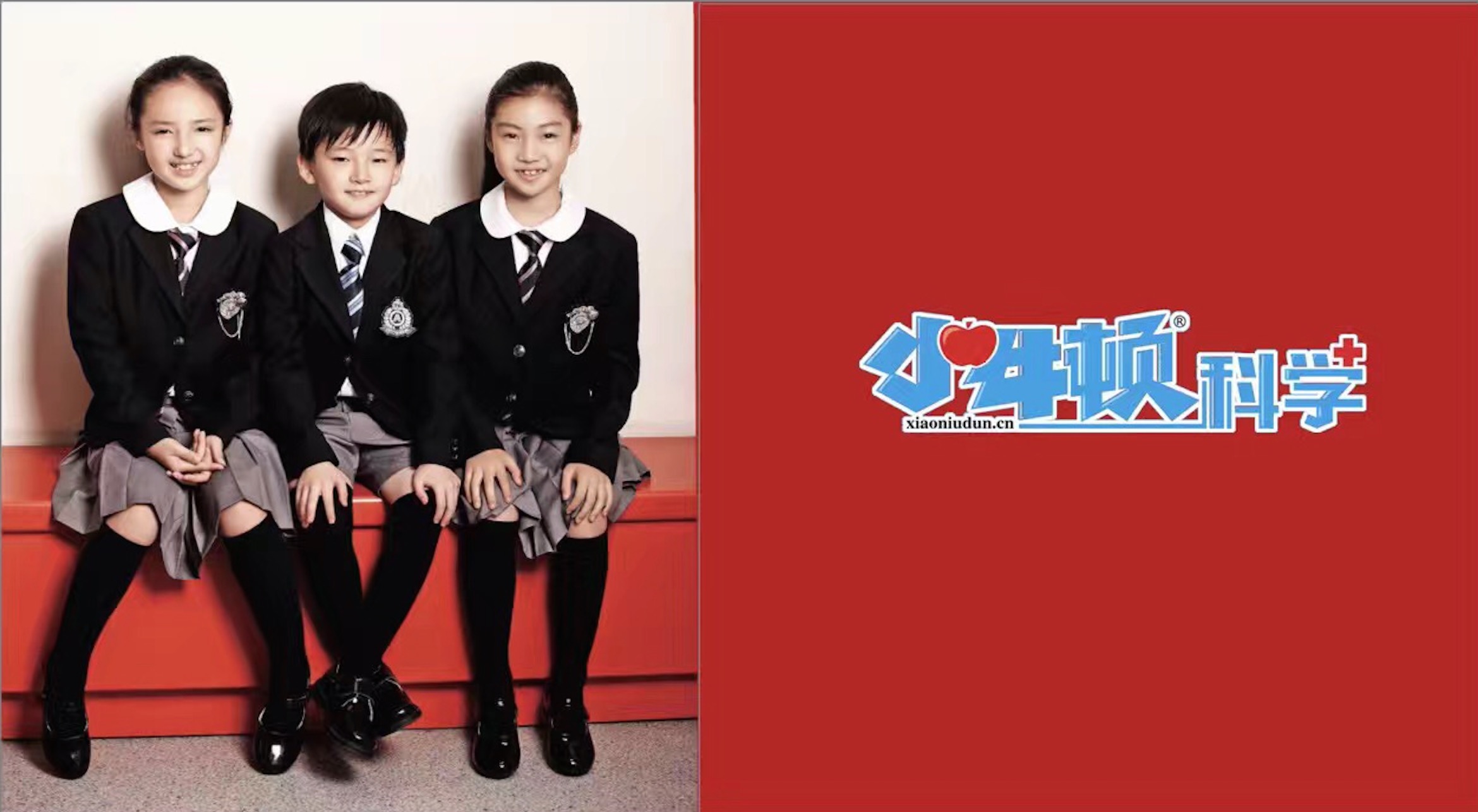 小牛顿幼小衔接说明会,小牛顿幼小衔接班咋收费