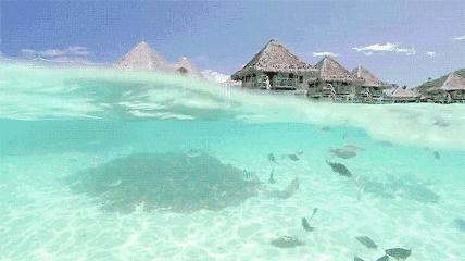 五一想好去哪玩了吗,五一想好去哪里旅游了吗