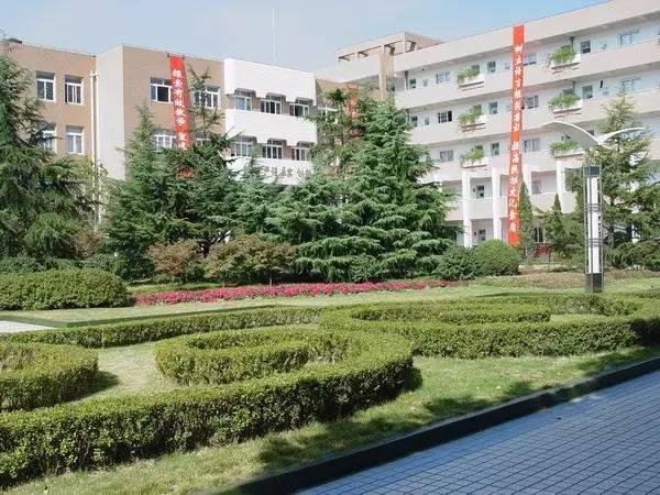 华师大长宁区,上海华师大附属小学和临港明珠