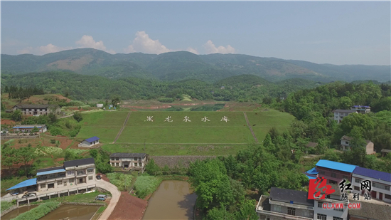 电力人精神状态,电力人