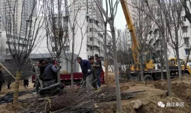 西安五人制足球场建设运营,五人制室外足球场设计效果图