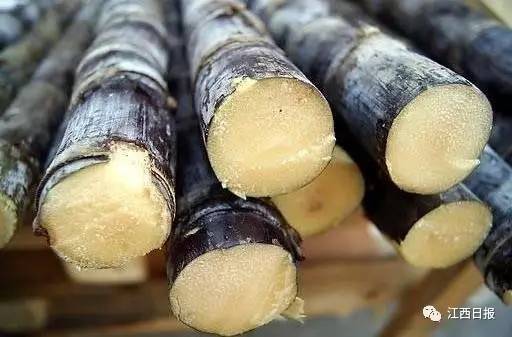 吃螃蟹谨慎食物中毒,吃螃蟹全身红肿