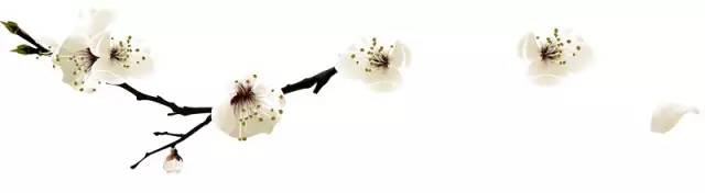 四月是你的生日伴奏,四月是你的生日手语舞完整版