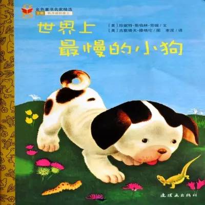 陪孩子读绘本5册套装,陪孩子读世界