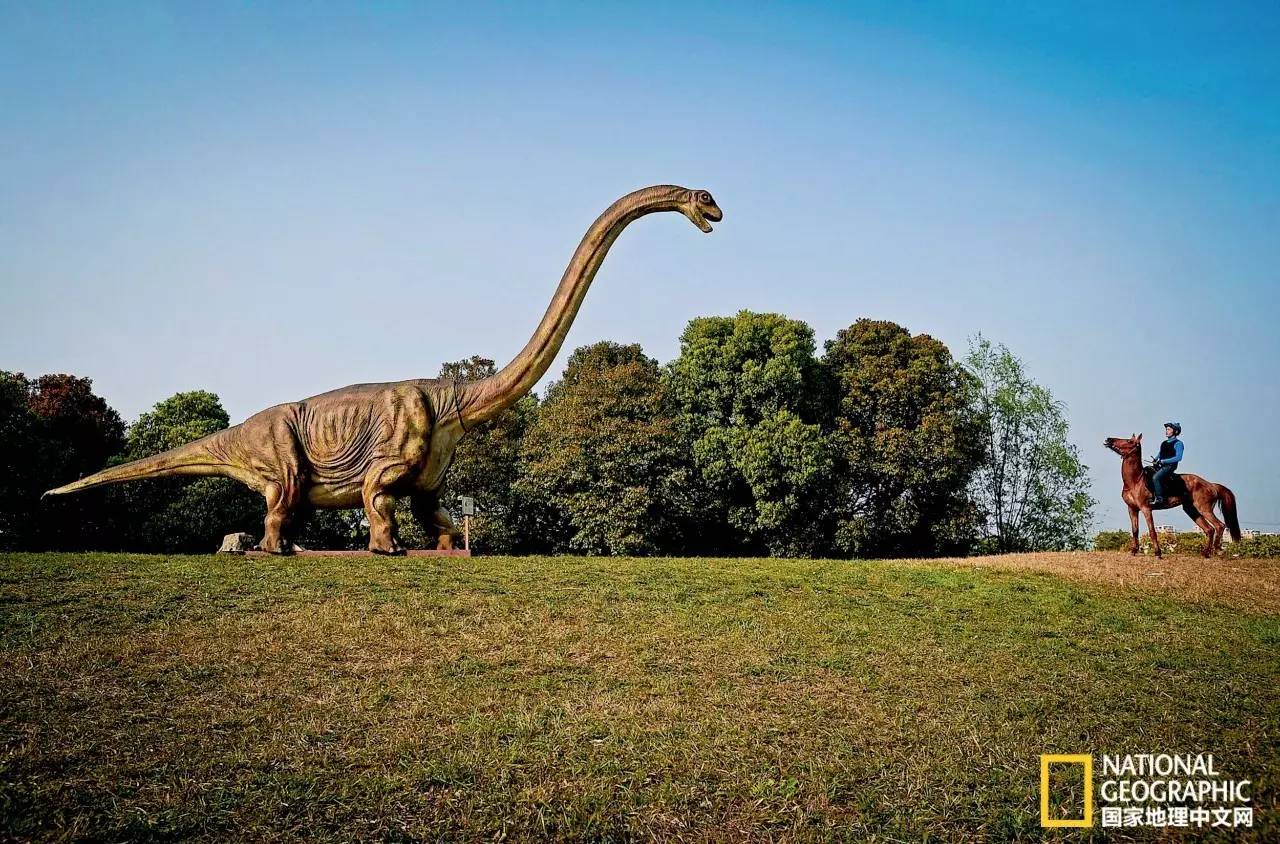 2022国家地理全球摄影大赛投稿,2016美国国家地理杂志摄影大赛