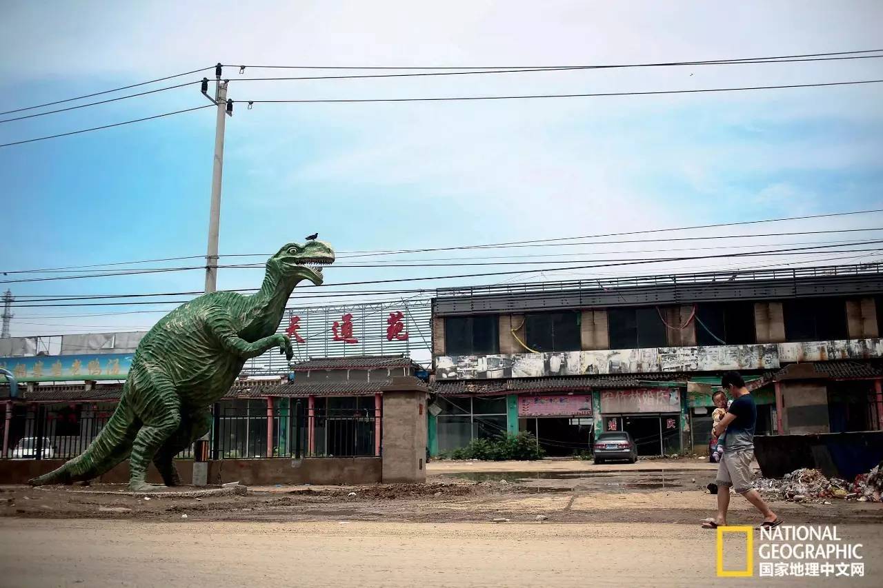 2022国家地理全球摄影大赛投稿,2016美国国家地理杂志摄影大赛