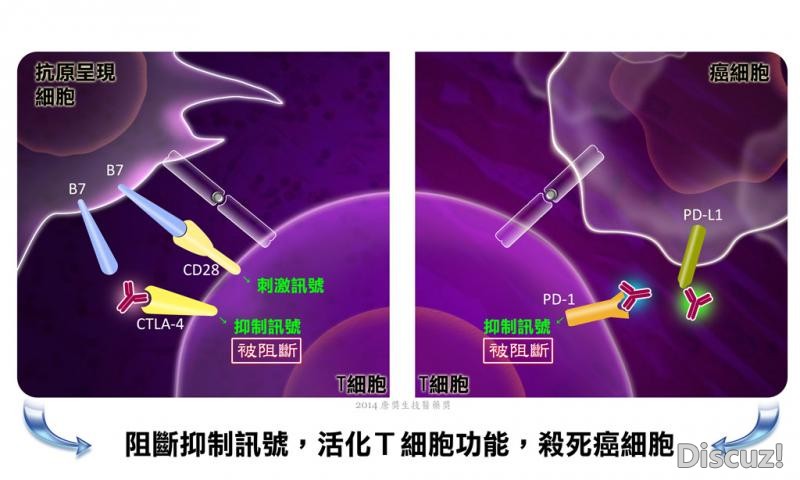 肝癌新药终于取得突破！