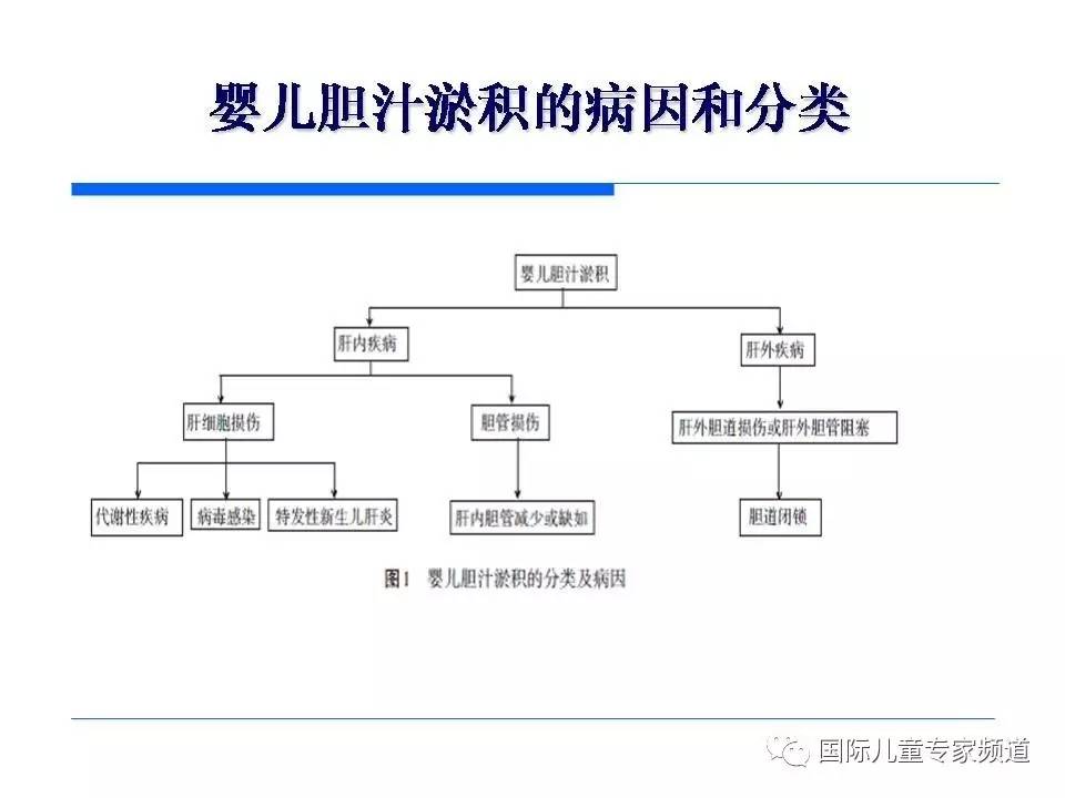 「PPT干货」国际儿童专家频道学术讲座.NO7——浙江大学医学院附属儿童医院消化科，陈洁主任主讲《婴儿胆汁淤积性肝病的诊治》