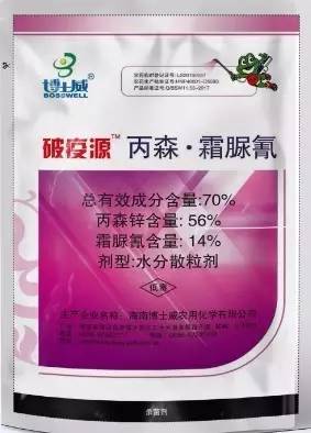 辣椒霜霉疫病怎么防治,霜疫病特效药一览表