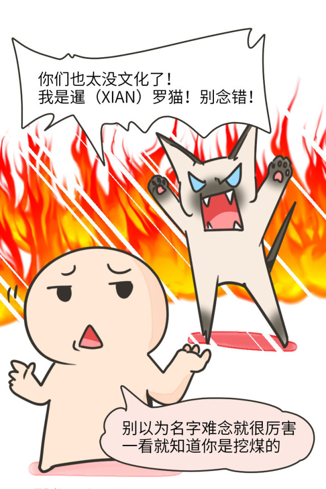 暹罗猫挖煤,挖煤队长暹罗猫