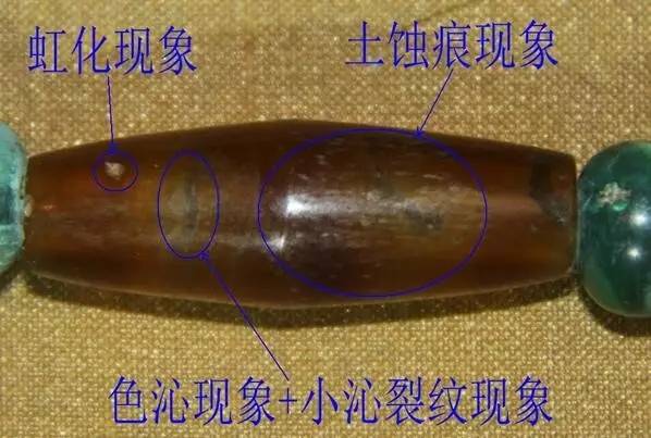 巫新华,峨边县巫新华