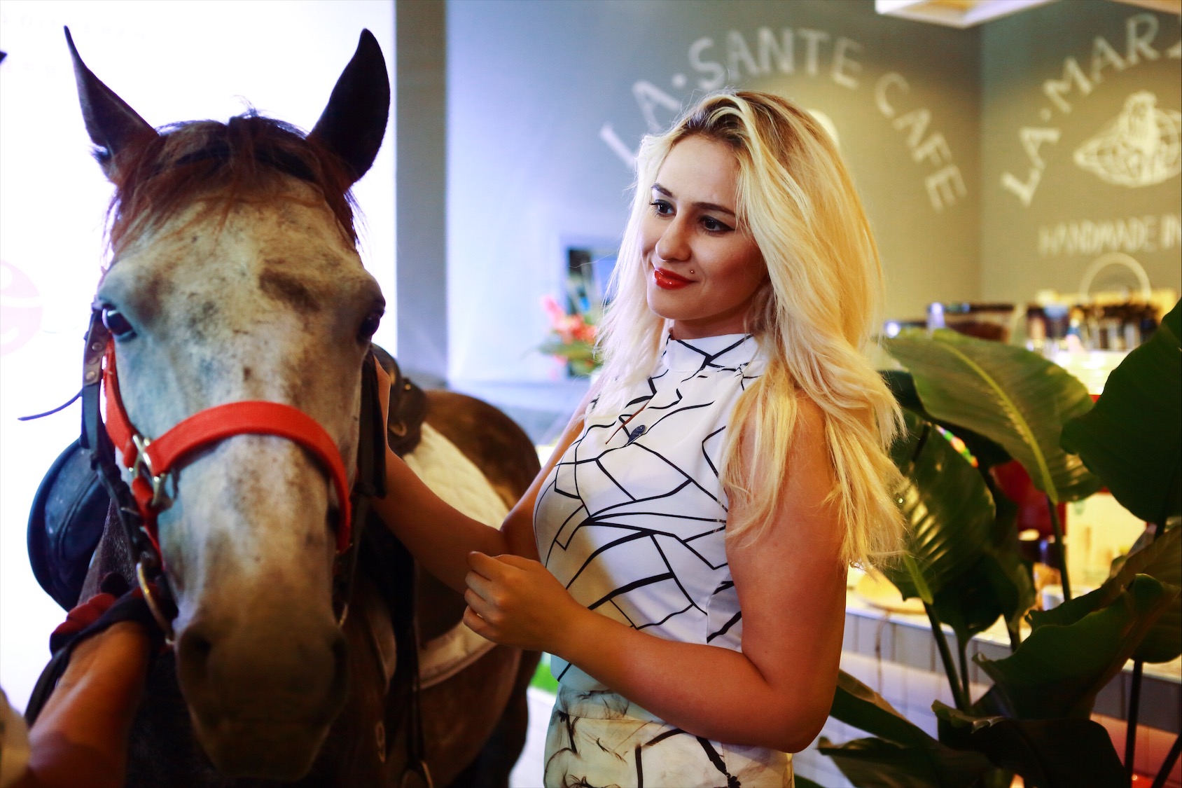 BLUFISH｜他在天津造了这座蓝色的饕餮城堡，只为把青梅竹马的她从巴黎追回来