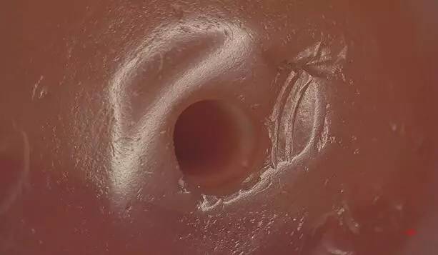 巫新华,峨边县巫新华