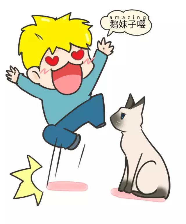 暹罗猫挖煤,挖煤队长暹罗猫