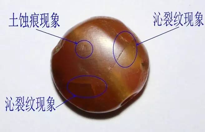 巫新华,峨边县巫新华