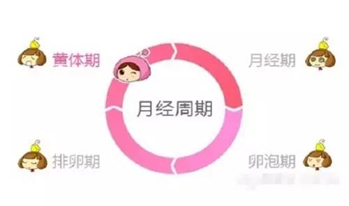 妹子闻风丧胆的亲戚，男人望而止步的虎：大姨妈