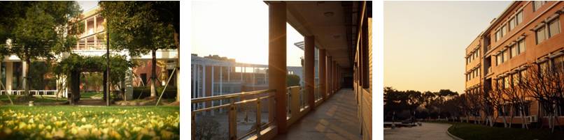 华师大长宁区,上海华师大附属小学和临港明珠