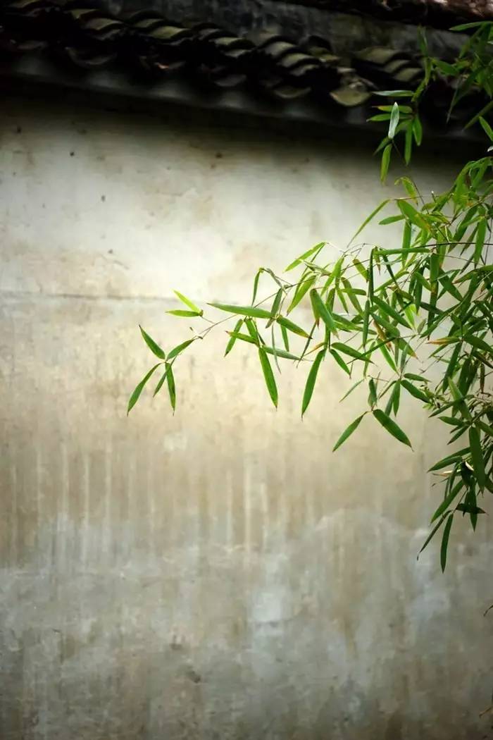 老祖宗留下来的7句狠话句句在理,老祖宗留下来的金句句句在理