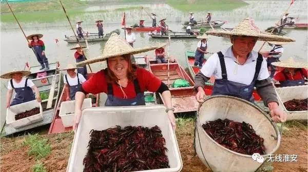 鏈夐緳铏剧殑鍦版柟鎵嶆湁鏁呬簨,鏈夐緳铏炬湁鏁呬簨