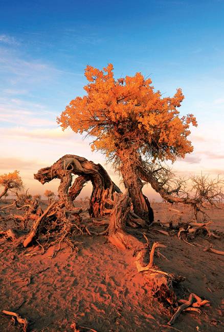 内蒙摄影作品,一份简单内蒙古草原旅游攻略