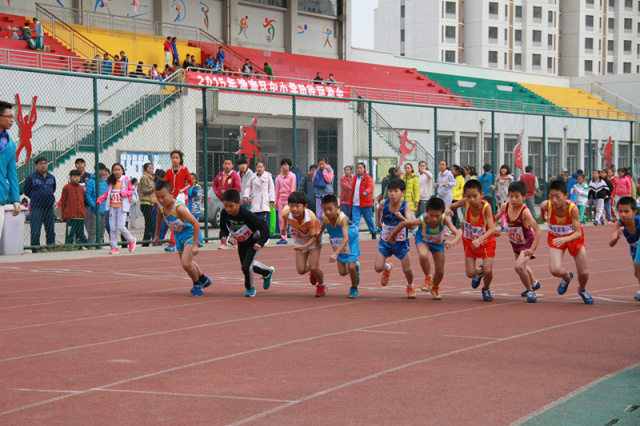 关注小美直播,关注小美头条号