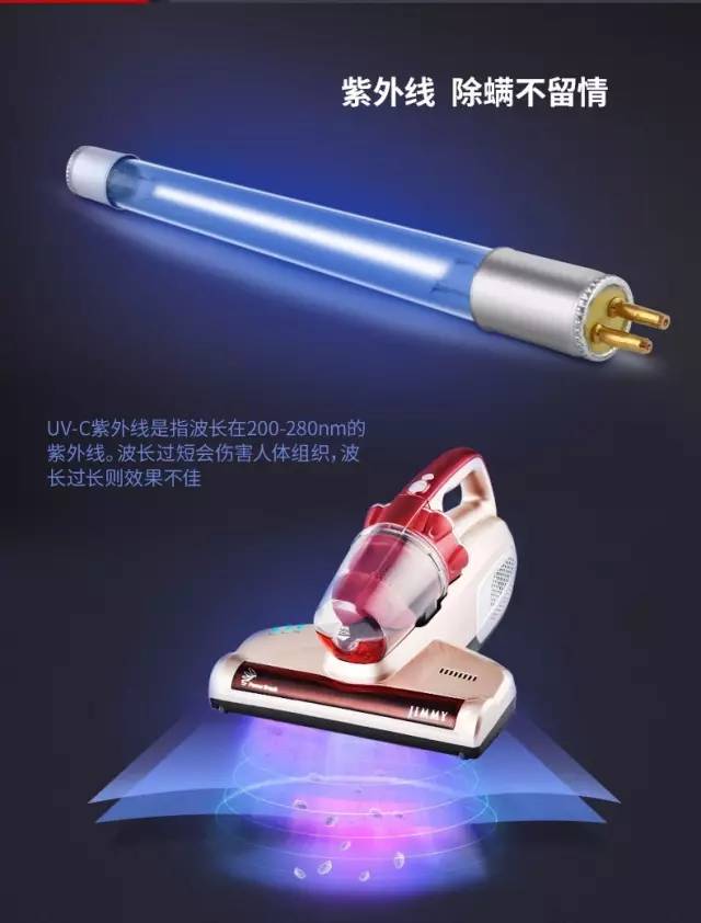 小一点的螨虫怎么消除,小螨虫最怕什么药