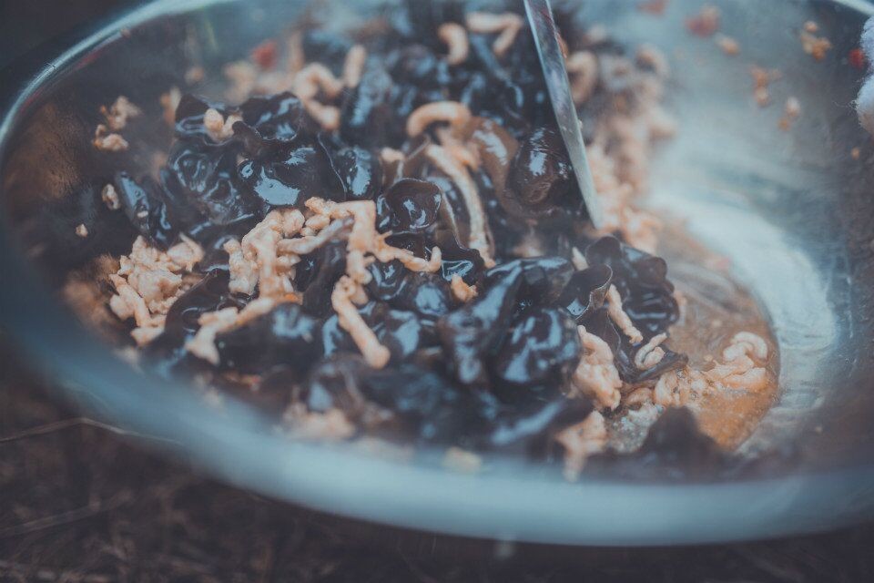 成体背包客带起包子重回甲尔猛措