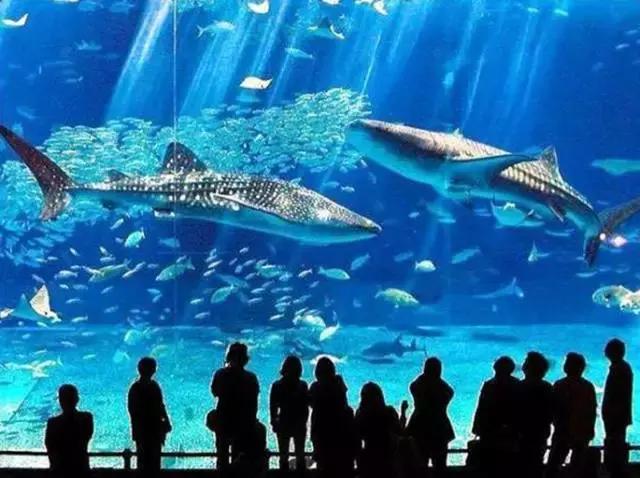 世界最美的四大海,世界最美十大海排名