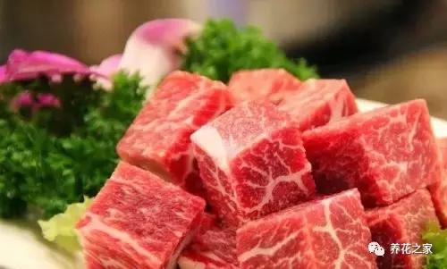 花盆里有蚂蚁怎么办蚂蚁最怕啥,花盆里有蚯蚓好不好