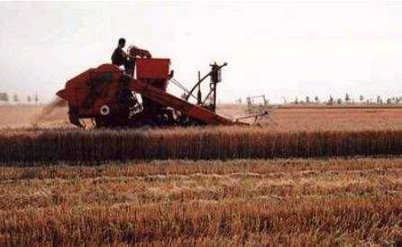 干农活脚关节酸痛贴什么好,干农活导致的手指关节痛怎么治疗