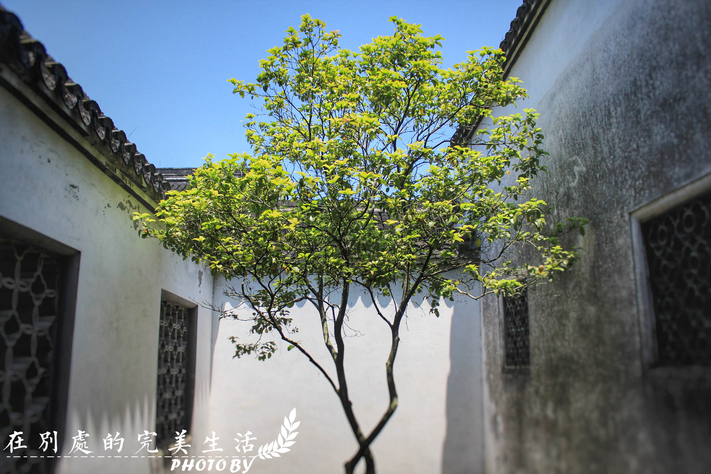 你能想象的美好周末海宁全能满足你