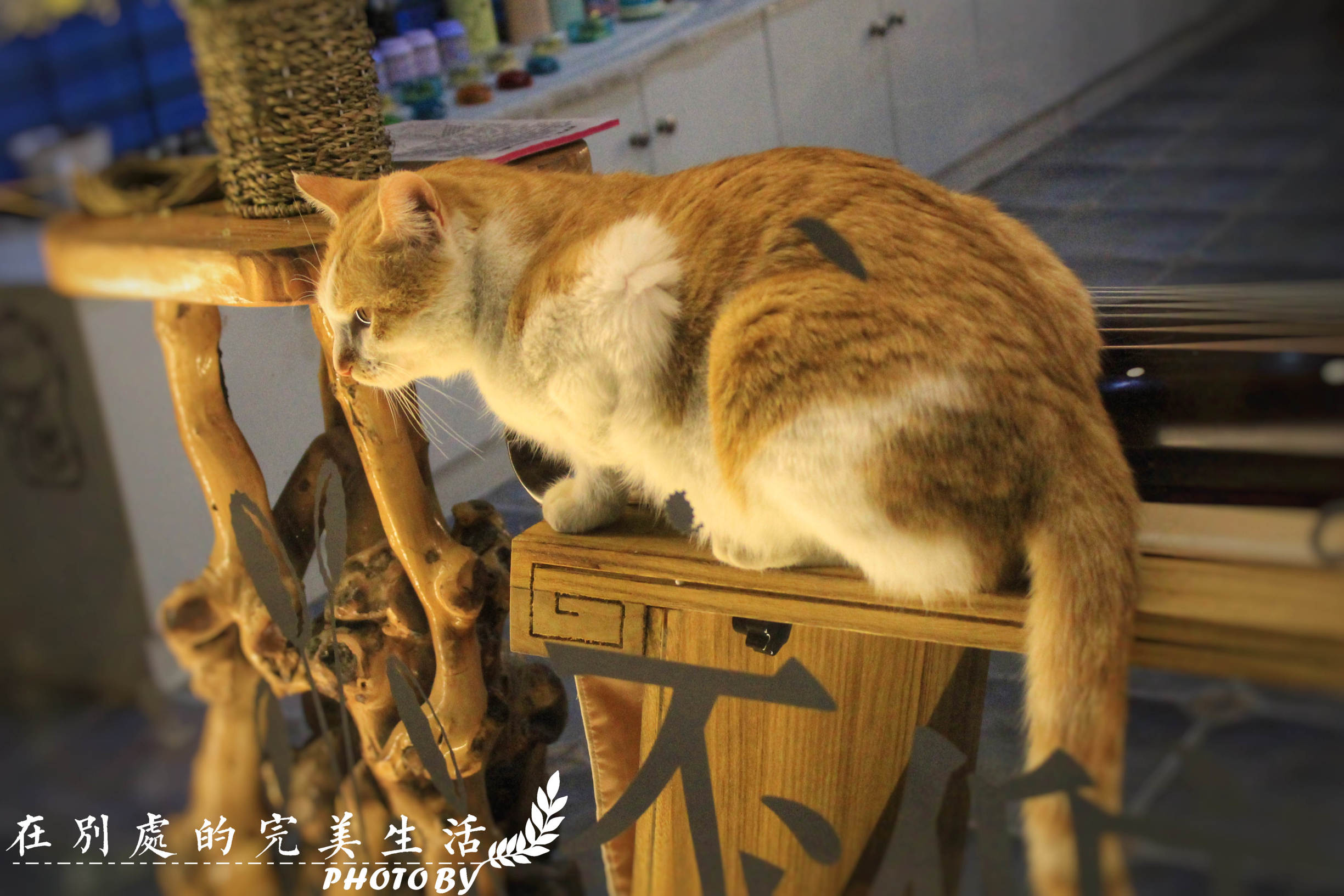 你能想象的美好周末海宁全能满足你