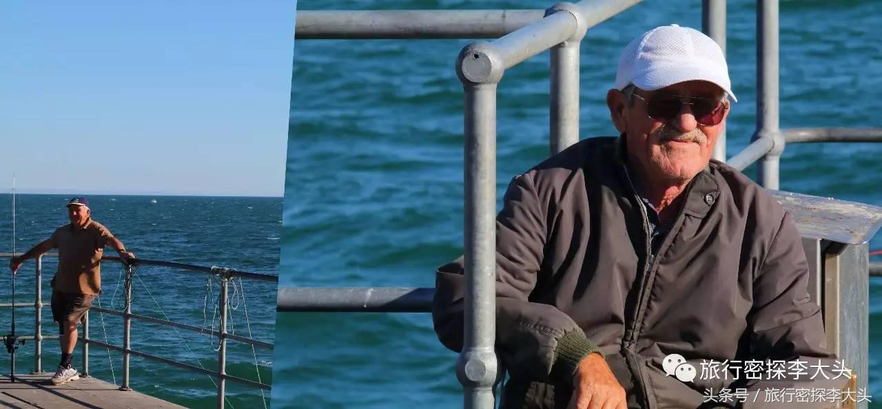 中国哪里可以抱考拉,全球哪里可以抱考拉