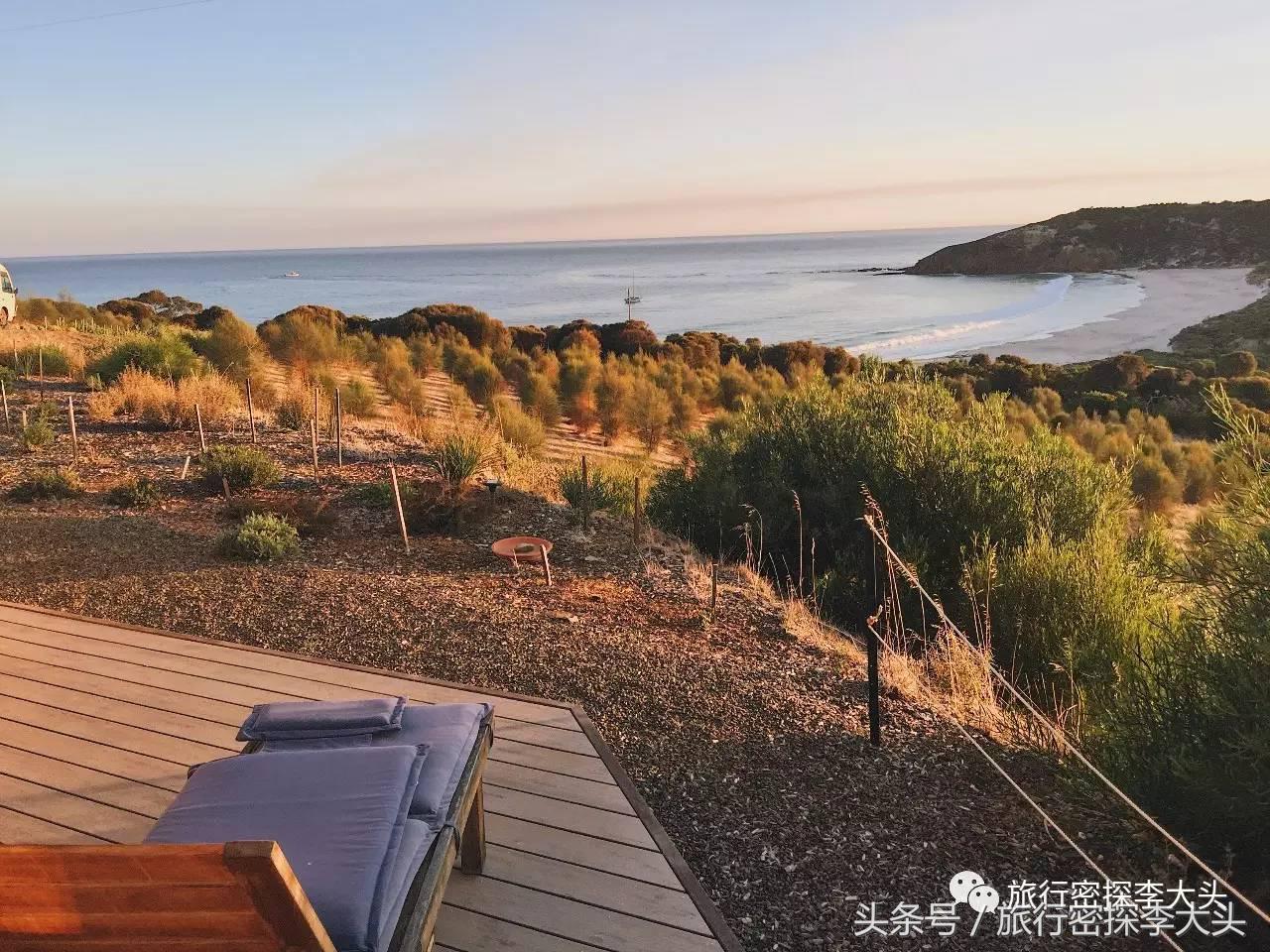 中国哪里可以抱考拉,全球哪里可以抱考拉